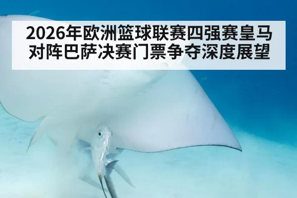 2026年欧洲篮球联赛四强赛皇马对阵巴萨决赛门票争夺深度展望